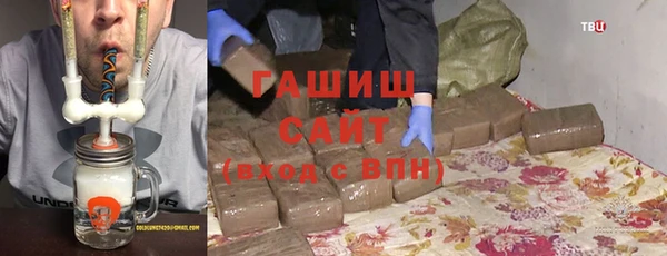 стафф Касимов