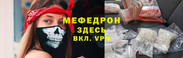 стафф Касимов