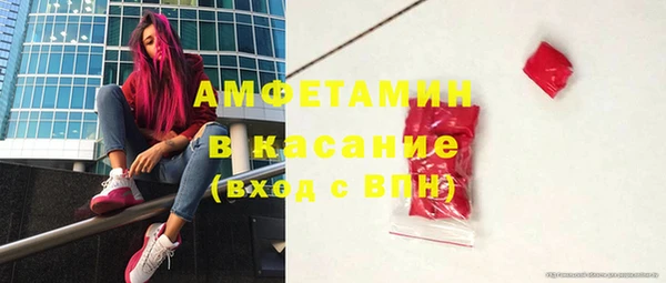 стафф Касимов