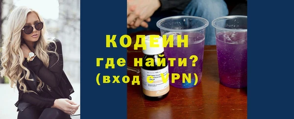 стафф Касимов