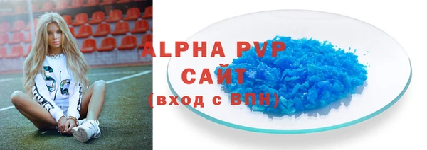 стафф Касимов