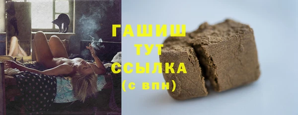 стафф Касимов