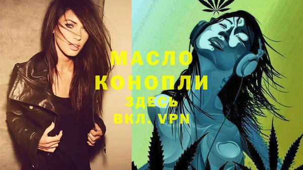 стафф Касимов