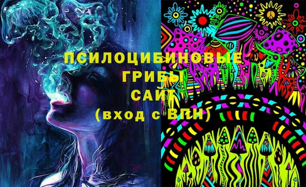 стафф Касимов