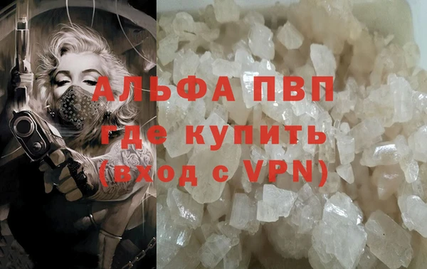 стафф Касимов