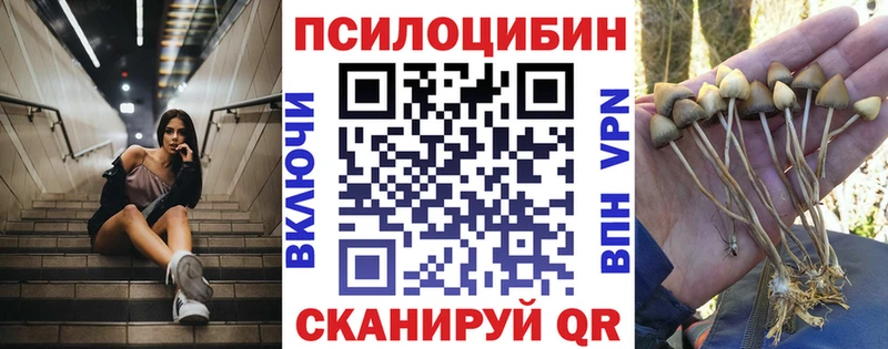 Купить  Волжский  Галлюциногенные грибы прущие грибы 